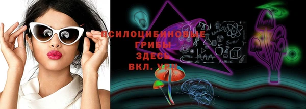 ПСИЛОЦИБИНОВЫЕ ГРИБЫ Киреевск