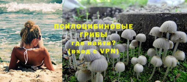 ПСИЛОЦИБИНОВЫЕ ГРИБЫ Киреевск
