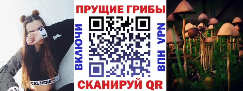 Галлюциногенные грибы мухоморы Княгинино