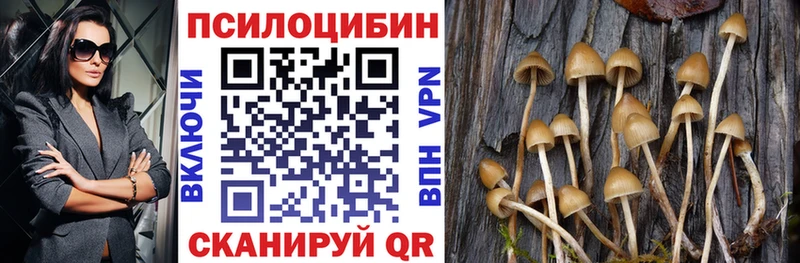 Галлюциногенные грибы MAGIC MUSHROOMS  Купить закладки  Княгинино 